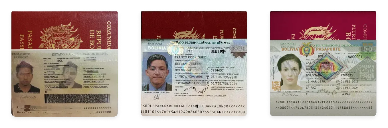 bolivian passport.webp