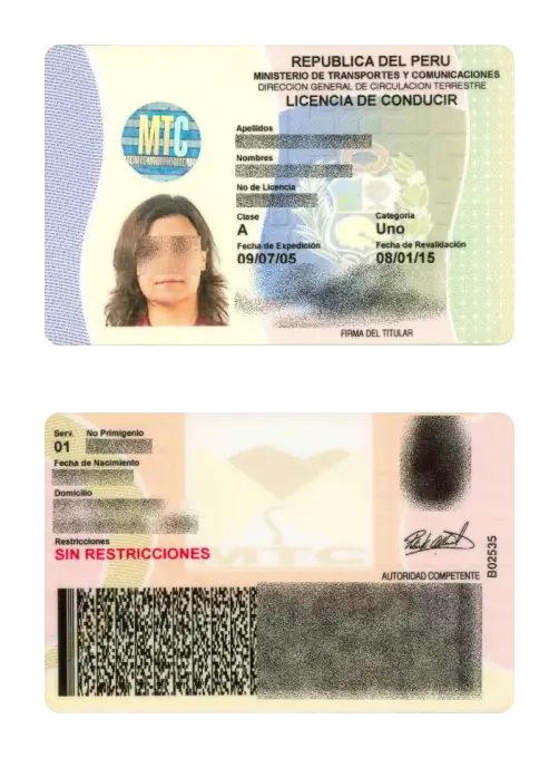 Peruvian driving licences issued in 2005