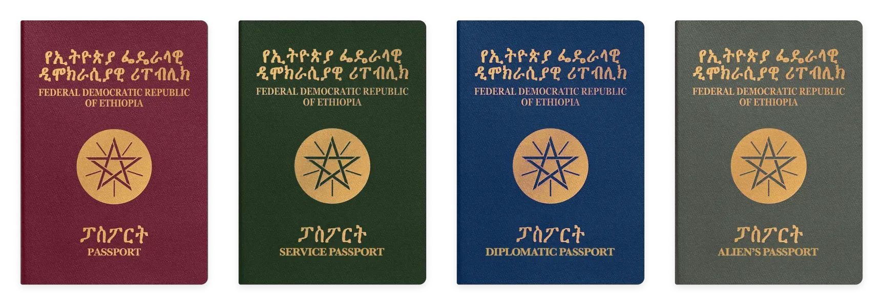 Four types of Ethiopian passports: Ordinary Passport, Service Passport, Diplomatic Passport and Alien’s Passport