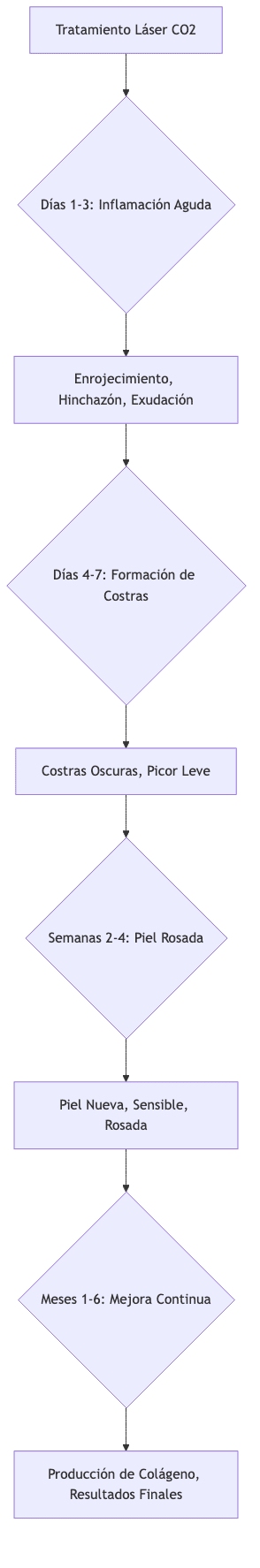 Flowchart of fractional CO2 laser recovery