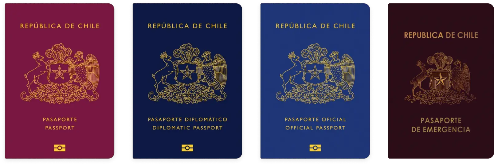 Four types of chilean passports: Ordinary Passport, Diplomatic Passport, Official Passport and emergency Passport